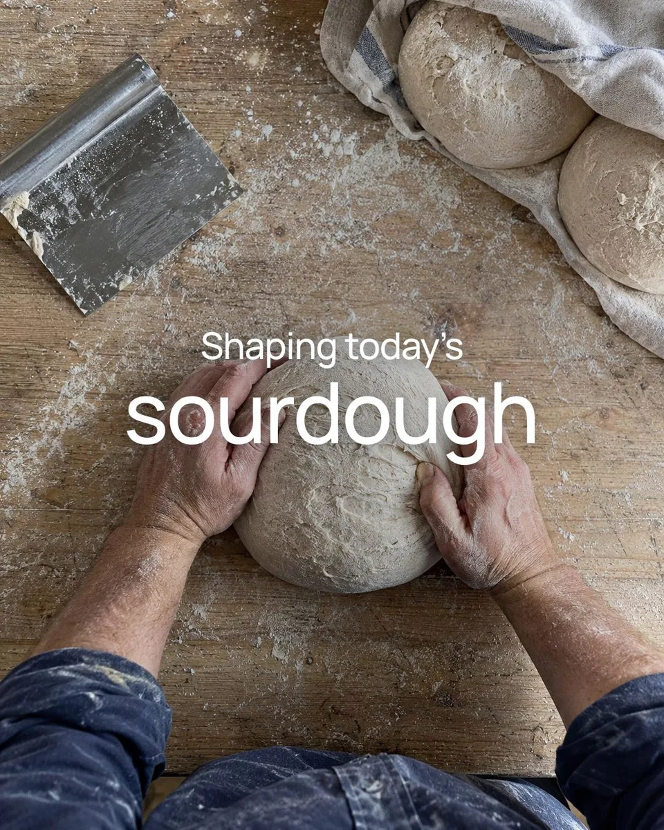 Bakery post: Shaping today’s sourdough